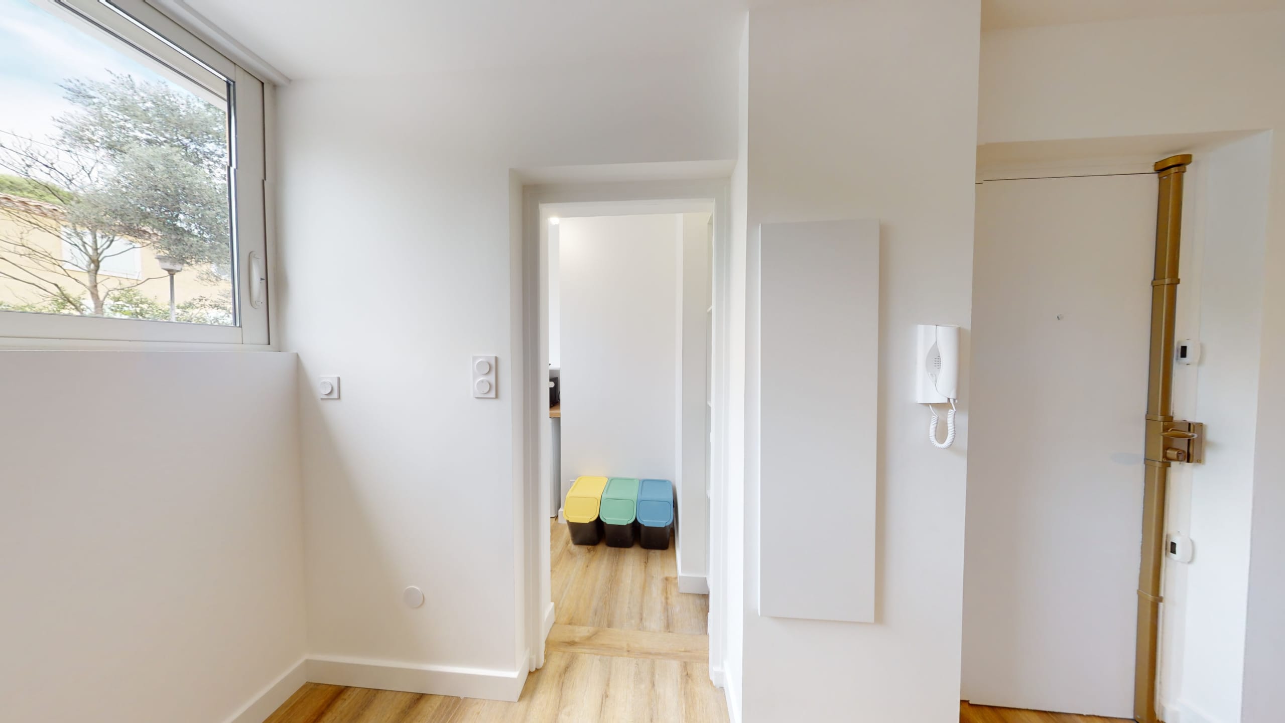 ROKA-06232023_152157